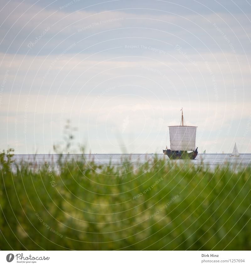 Kieler Hansekogge Umwelt Natur Horizont Küste Bucht Ostsee Meer Schifffahrt Bootsfahrt Passagierschiff Segelboot außergewöhnlich historisch maritim blau grau