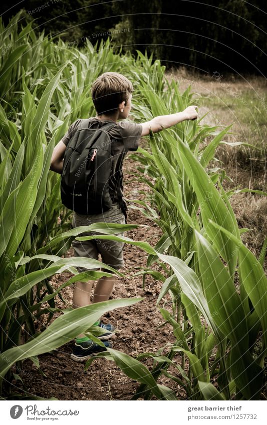 Junge zeigt auf etwas, das nicht mehr im Bild ist Mensch maskulin Bruder Kindheit Jugendliche Leben Körper 1 3-8 Jahre Umwelt Natur Landschaft Tier Frühling