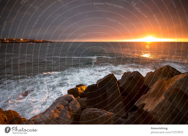 der Moment Umwelt Natur Landschaft Pflanze Wasser Sonne Sonnenaufgang Sonnenuntergang Sonnenlicht Sommer Wetter Schönes Wetter Felsen Wellen Küste Meer Atlantik