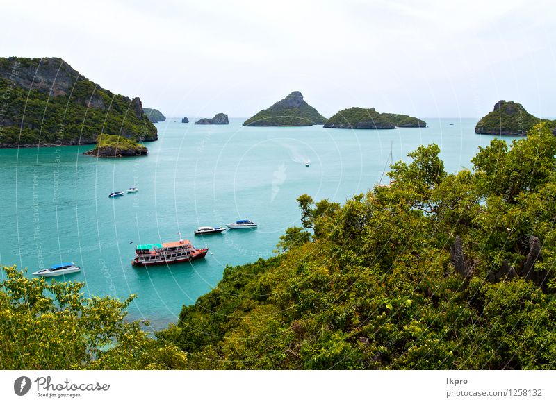 Bootsküste einer grünen Lagune a Ferien & Urlaub & Reisen Tourismus Ausflug Freiheit Sommer Strand Insel Natur Pflanze Sand Schönes Wetter Baum Blume Blatt