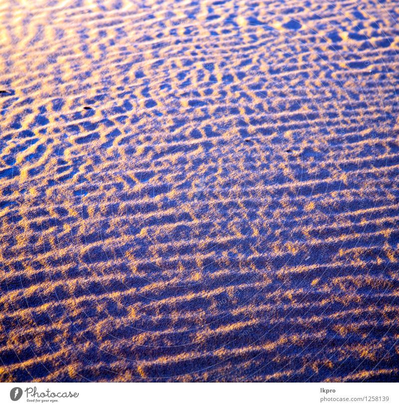 die braune Sanddüne schön Ferien & Urlaub & Reisen Tapete Natur Landschaft Schönes Wetter Urwald Hügel heiß gelb Einsamkeit Idylle wüst Düne Hintergrund