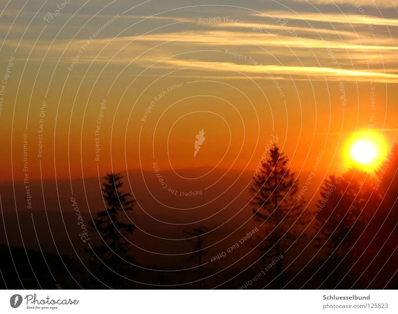 Sonnenlicht Berge u. Gebirge Himmel Baum Wald dunkel hell blau gelb Kondensstreifen Himmelskörper & Weltall orange Kreis Sonnenaufgang Sonnenuntergang Nebel