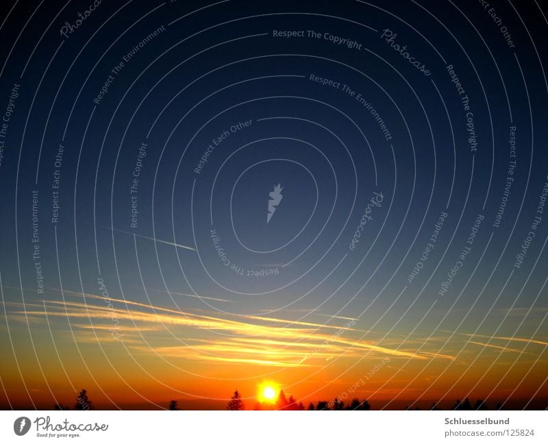 Untergehende Sonne Himmel Baum Wald blau gelb schwarz Sonnenuntergang Kondensstreifen Baumkrone Himmelskörper & Weltall orange Kreis Sonnenlicht Menschenleer