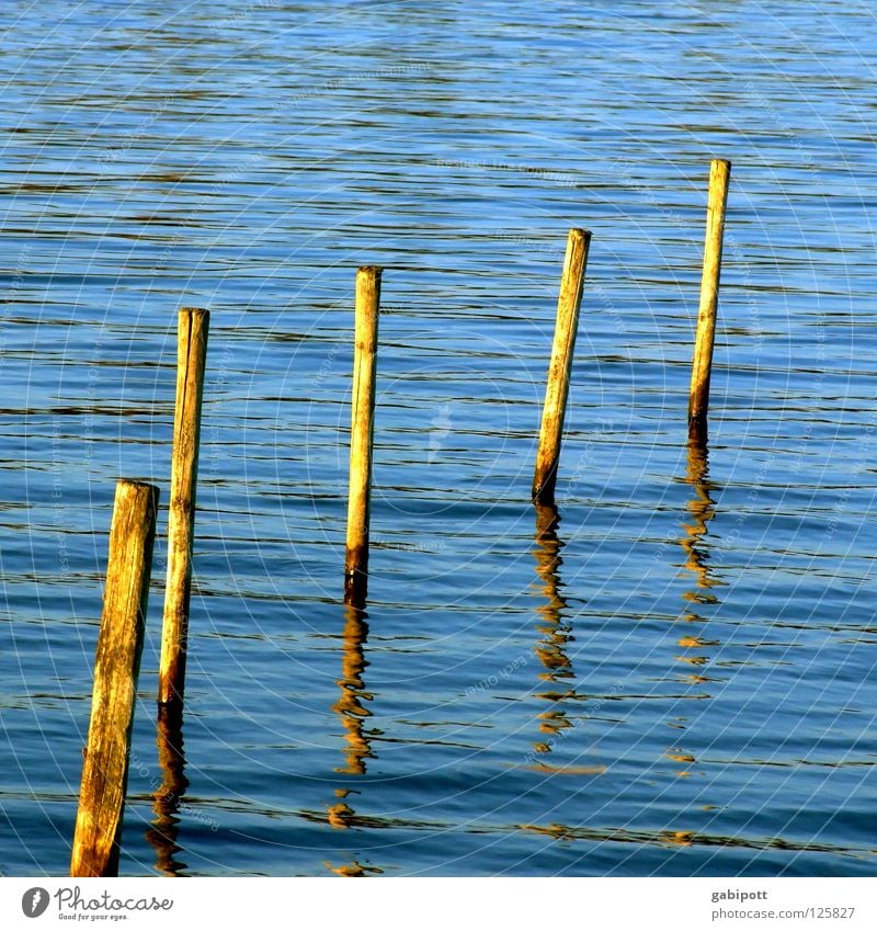 pfünf pfähle Farbfoto mehrfarbig Außenaufnahme Tag Reflexion & Spiegelung Sonnenlicht Gegenlicht Leben harmonisch Wohlgefühl Zufriedenheit Erholung Sommerurlaub