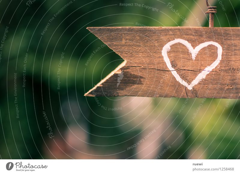 Zum Herzen Valentinstag Hochzeit Holz Zeichen Pfeil Liebe alt braun grün Frühlingsgefühle Verliebtheit Romantik Beginn Idylle Farbfoto Außenaufnahme