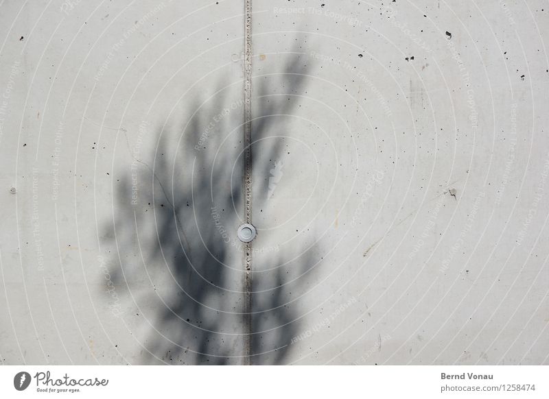 … und eins für Timmitom Umwelt Baum Mauer Wand Blick Baumschatten Beton rund Fuge kalt begegnen Urbanisierung Loch grau Schwarzweißfoto Außenaufnahme