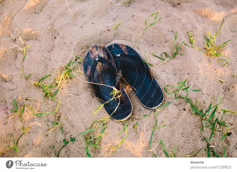 Sommerabende Lifestyle Stil Freude Leben harmonisch Erholung Freizeit & Hobby Ausflug Abenteuer Freiheit Entertainment Veranstaltung Natur Sand Schönes Wetter