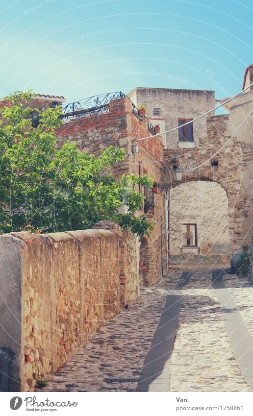 Posada Ferien & Urlaub & Reisen Sommerurlaub Baum Sardinien Dorf Haus Tor Mauer Wand Straße Wärme blau grün Farbfoto mehrfarbig Außenaufnahme Menschenleer