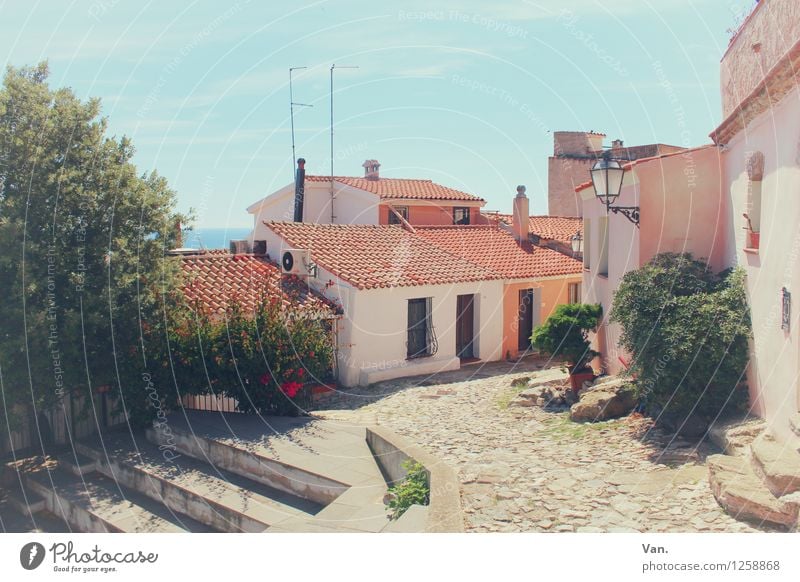 Mach mal wieder Urlaub Ferien & Urlaub & Reisen Sommerurlaub Himmel Baum Posada Sardinien Dorf Haus Treppe Wärme Farbfoto mehrfarbig Außenaufnahme Menschenleer