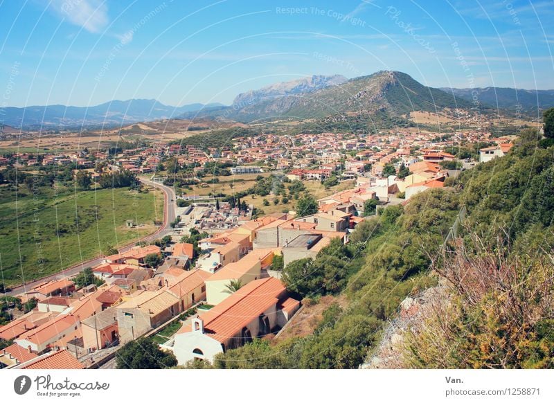 Posada² Ferien & Urlaub & Reisen Sommerurlaub Landschaft Himmel Pflanze Baum Sträucher Wiese Hügel Berge u. Gebirge Sardinien Dorf Haus Straße Wärme Farbfoto