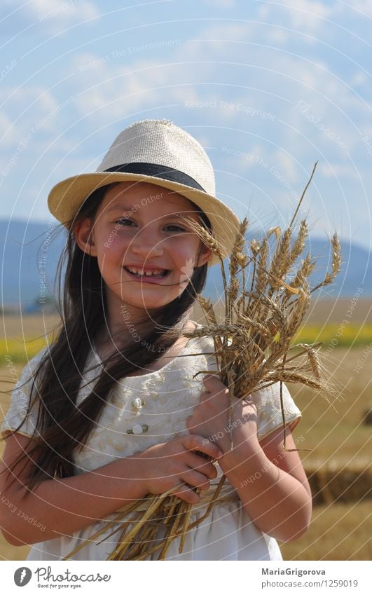 lächelndes kleines Mädchen, das Weizen in den Händen hält Lebensmittel Getreide Bioprodukte Lifestyle schön Gesundheit Sommer Sonne Mensch Kind Körper Kopf