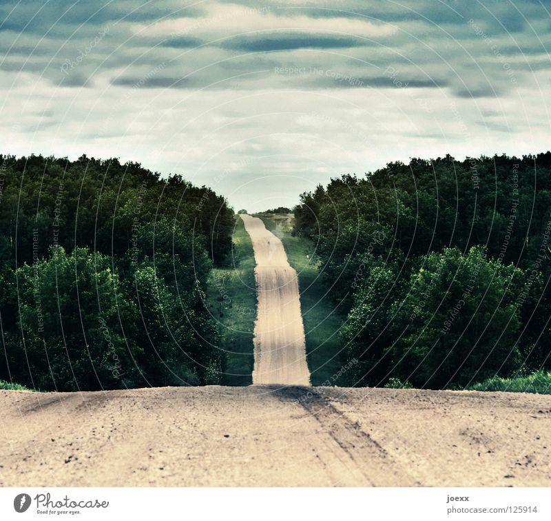 Durchschnitt Ferne Natur Landschaft Himmel Wolken schlechtes Wetter Baum Wald Hügel Wellen Verkehrswege Straße Wege & Pfade gehen laufen grün beige Fahrbahn