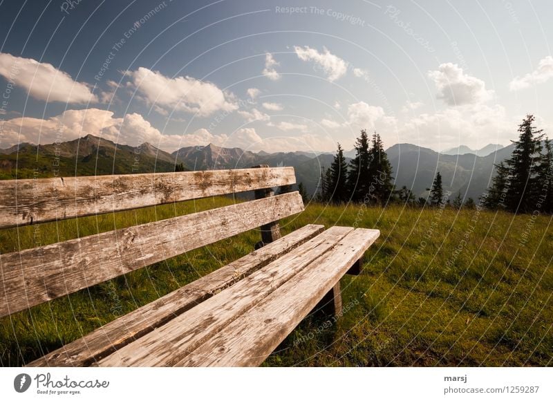 Ein zusätzlicher Tag Natur Herbst Schönes Wetter Alpen Berge u. Gebirge Bank Holz ruhig Erholung Erholungsgebiet lang Farbfoto Gedeckte Farben Außenaufnahme