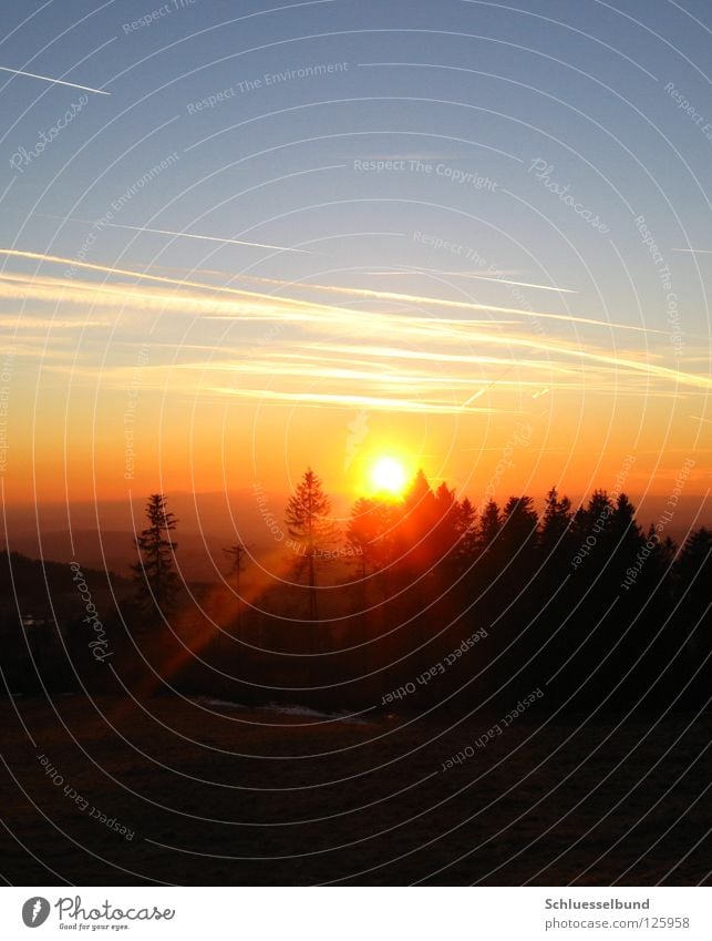 Sonnenstrahlen Berge u. Gebirge Himmel Wolken Baum Wiese Wald Hügel blau gelb schwarz weiß Kondensstreifen Baumkrone Himmelskörper & Weltall Beleuchtung orange