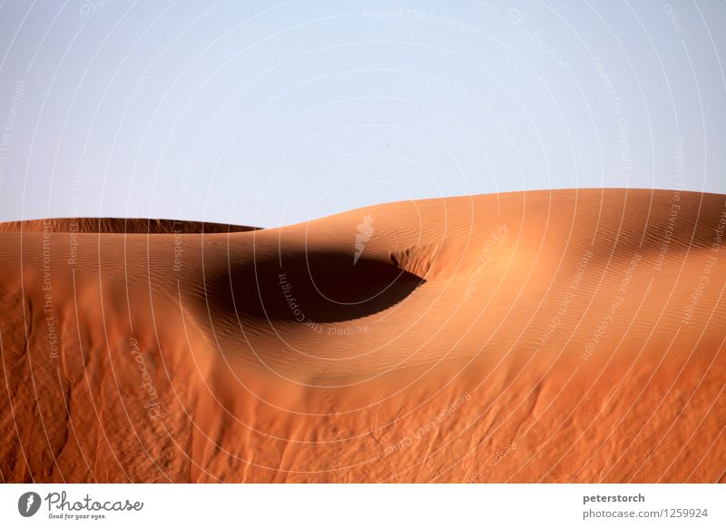 Düne 12 Ferien & Urlaub & Reisen Abenteuer Ferne Natur Sand Wolkenloser Himmel Horizont Wärme Wüste ästhetisch außergewöhnlich Erotik exotisch weich Stimmung