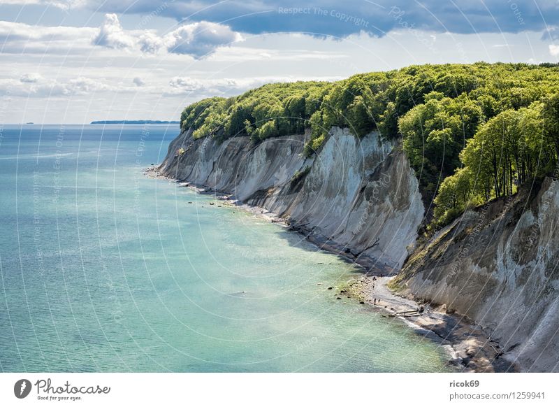 Kreidefelsen Erholung Ferien & Urlaub & Reisen Natur Landschaft Wolken Baum Küste Ostsee Meer Sehenswürdigkeit blau Romantik Idylle Tourismus Umwelt Rügen