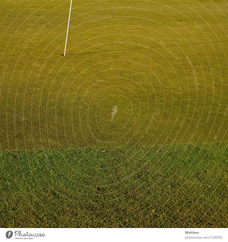 Auf dem Golfplatz I grün Winter Rasenmäher weiß Ravensburg Herbst Sport Spielen Loch verhaften alt Stab Ball Schmalegg Schatten