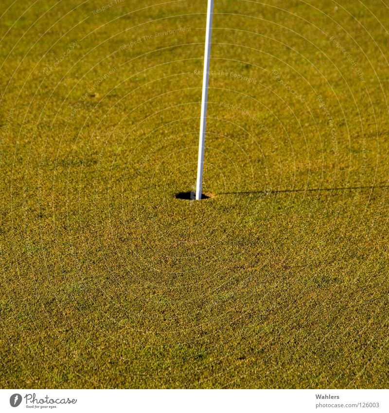 Auf dem Golfplatz II grün Winter Rasenmäher weiß Ravensburg Herbst Sport Spielen Loch verhaften alt Stab Ball Schmalegg Schatten