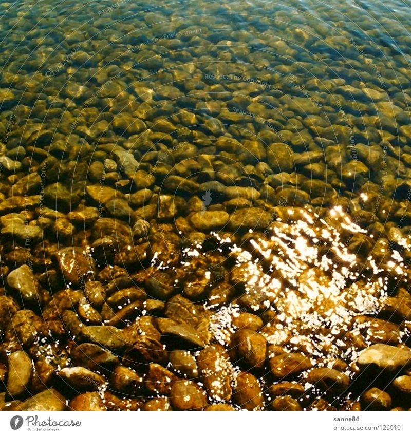 SeebodenBodensee Seegrund durchsichtig Reflexion & Spiegelung Wellen Sommer ruhig Erholung Ferien & Urlaub & Reisen Wasser Stein Sonne glänzend