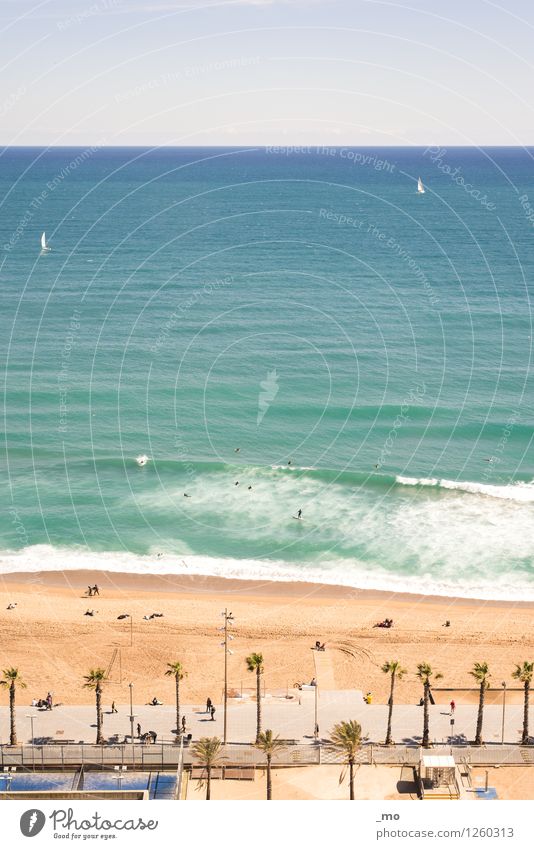 Strandtag Schwimmen & Baden Surfen Schwimmsport Im Wasser treiben Sommer Sommerurlaub Sonne Sonnenbad Meer Wellen Meerwasser Sport Wassersport Segeln Mensch