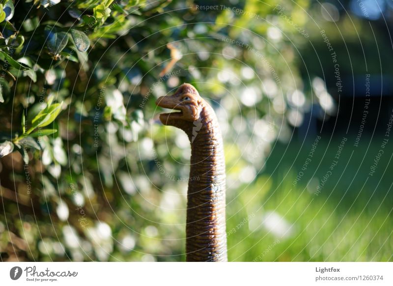 Giraffendino Tier Wildtier Totes Tier Tiergesicht Schuppen Fährte Zoo 1 Globus alt wählen natürlich trashig verrückt wild Dinosaurier Fressen Urzeit Garten