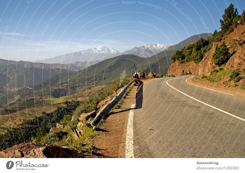 in die Berge Umwelt Natur Landschaft Pflanze Himmel Horizont Sommer Wetter Schönes Wetter Schnee Baum Blume Sträucher Wiese Feld Wald Hügel Berge u. Gebirge