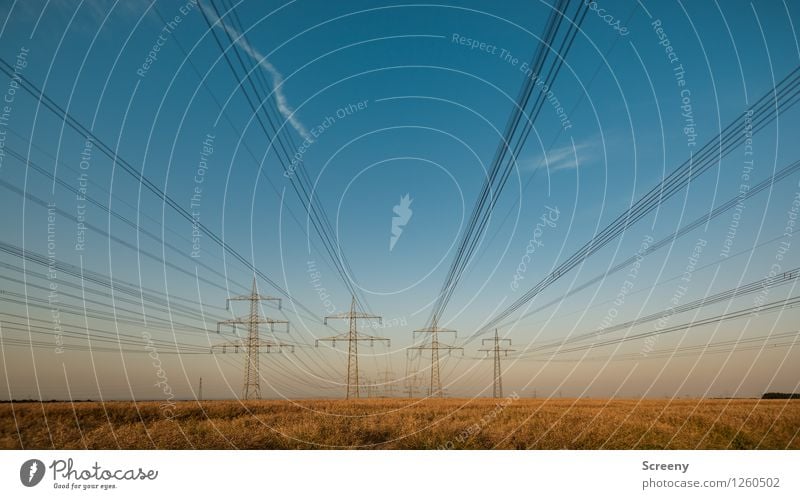 Vater, Mutter, Sohn, Tochter Strommast Technik & Technologie Energiewirtschaft Landschaft Himmel Sommer Schönes Wetter Feld stehen groß Elektrizität Netzwerk