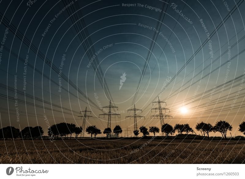 Familienausflug beendet... Strommast Leitung Energiewirtschaft Natur Landschaft Himmel Sonne Sonnenaufgang Sonnenuntergang Sonnenlicht Sommer Schönes Wetter