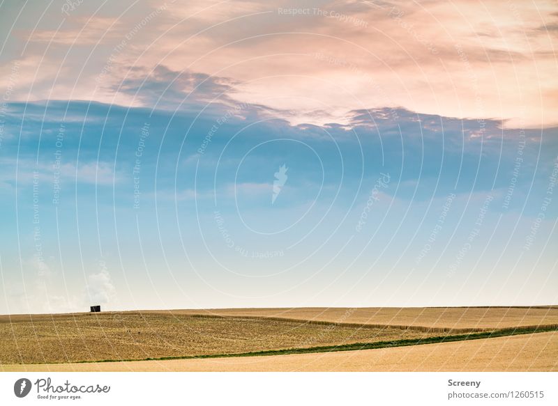 Vielschichtig Natur Landschaft Himmel Wolken Sommer Wetter Feld ruhig Farbe Wege & Pfade Landwirtschaft Farbfoto Außenaufnahme Menschenleer Dämmerung