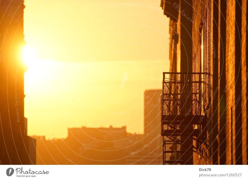 Light up my day Häusliches Leben Wohnung Haus Loft Himmel Sonne Sonnenaufgang Sonnenuntergang Sonnenlicht Sommer Klima Schönes Wetter Wärme New York City