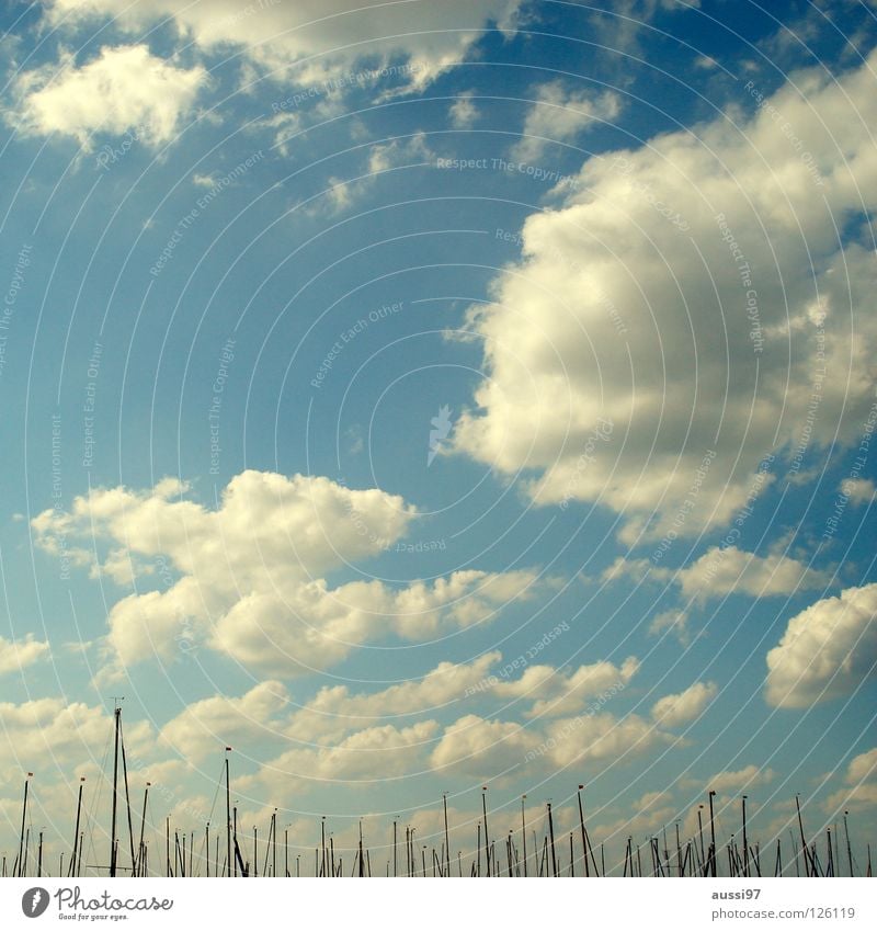 Marina Del Rey, Ca. Segelboot Jacht Jachthafen Wasserfahrzeug Schifffahrt Spielen Hafen Strommast Segeltuch Bootsmann Wind hissen Im Wasser treiben