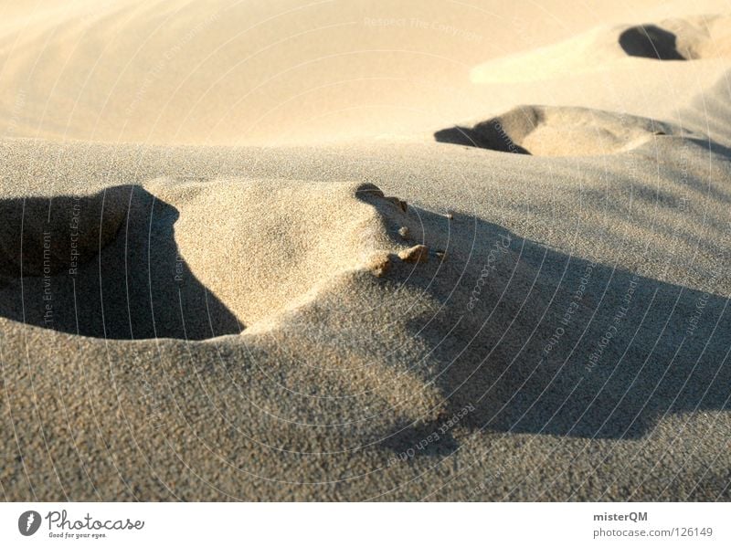 There will be water. schreiten Spuren Süden Physik Ferien & Urlaub & Reisen Licht heiß unerträglich Afrika Meer ruhig Erholung Haufen mehrere Sandkorn Sommer