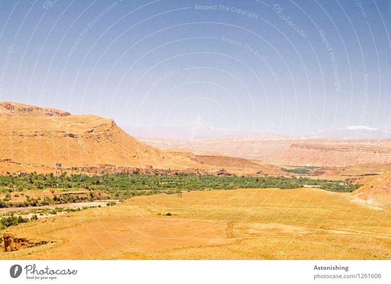 Grünstreifen Umwelt Natur Landschaft Pflanze Sand Luft Himmel Wolkenloser Himmel Sommer Wetter Schönes Wetter Baum Hügel Berge u. Gebirge Atlas Gipfel