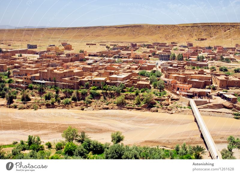 Aït-Ben-Haddou neuer Teil Umwelt Natur Landschaft Pflanze Himmel Horizont Sommer Wetter Schönes Wetter Baum Hügel Fluss Wüste Oase Ait Benhaddou Marokko Afrika