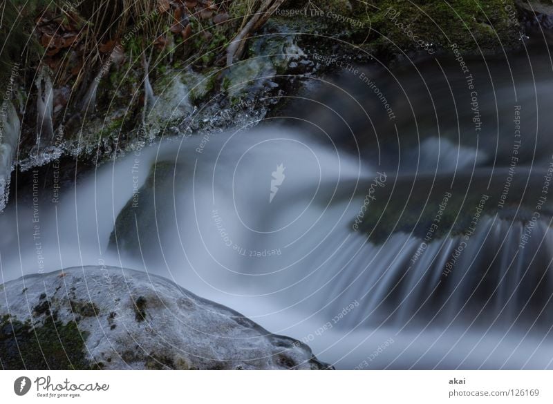 Weicher Wasserfall 2 Berge u. Gebirge Landschaft Bach kalt weich Wildbach Schwarzwald Schauinsland Mittelgebirge graufilter Langzeitbelichtung