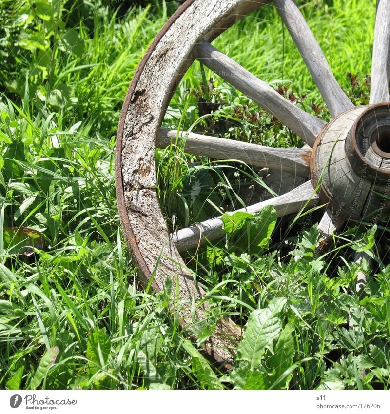 Altes Wagenrad Sommer Dekoration & Verzierung Wetter Gras Blatt Wiese Holz alt rund braun grün Wagenräder Pferdefuhrwerk Mitte Eisen Speichen Grad Celsius