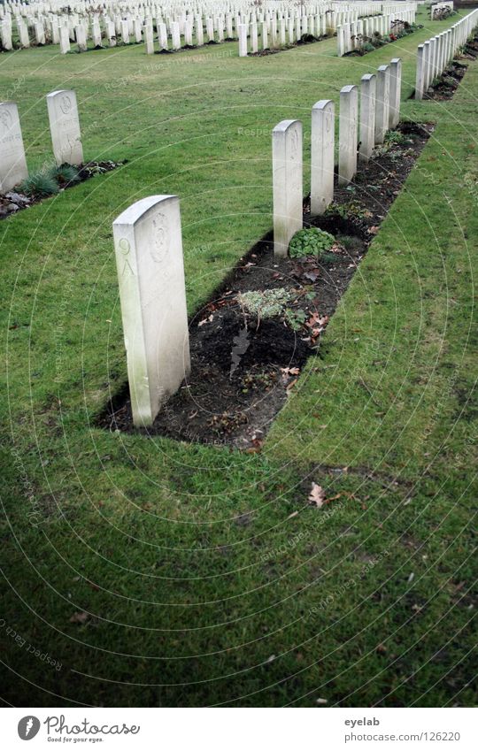 Der Tod verlangt nach Ordnung Friedhof Vergangenheit Grab ruhig Park grau grün Grabmal Trauer Verzweiflung Vergänglichkeit garbstein Ende grabpflege Rasen Reihe