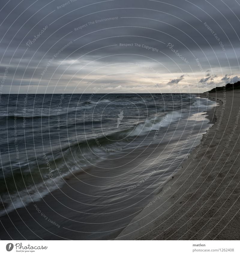 Baltique Natur Landschaft Sand Luft Wasser Himmel Wolken Gewitterwolken Horizont Sonnenaufgang Sonnenuntergang Wetter schlechtes Wetter Wind Baum Wellen Küste