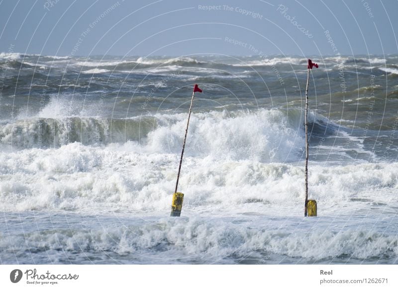 Meer Umwelt Natur Landschaft Urelemente Wasser Himmel Sommer Schönes Wetter Wind Wellen Küste Strand Nordsee Brandung Sturm Gischt Schwimmen & Baden wild