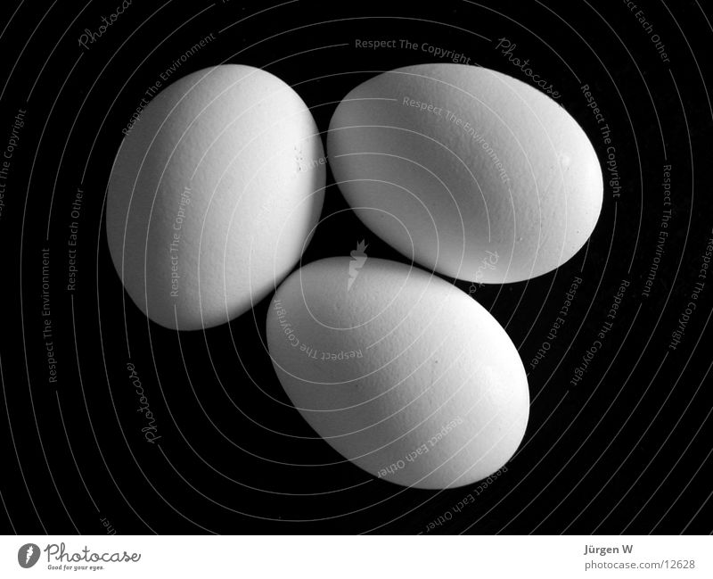 dreieiige Drillinge weiß schwarz 3 Haushuhn Hahn Dinge Ei drillinge Schatten eggs triplets white black shadow three chicken hen cock