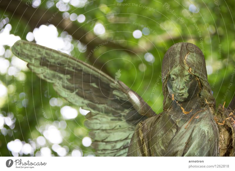 broken angel 2/2 Kopf 1 Mensch Skulptur Sonne Wald Haare & Frisuren Engel Gefühle Trauer Tod Friedhof Hamburg Ohlsdorfer Friedhof Farbfoto Gedeckte Farben