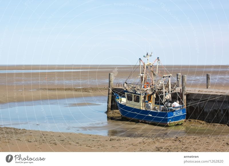 In den Sand gesetzt Wasser Strand Schifffahrt Fischerboot warten Gelassenheit ruhig Wattenmeer Pellworm Steg Himmel Farbfoto Außenaufnahme Menschenleer