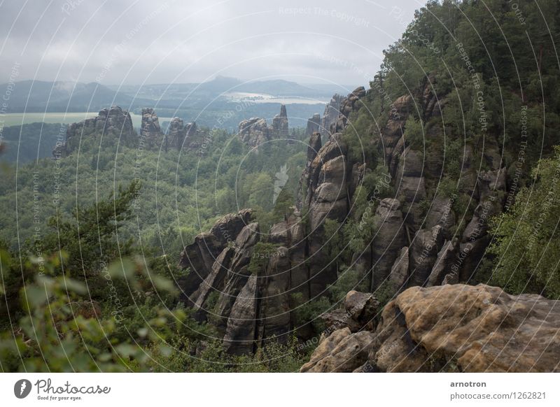 Elbsandstein Berge u. Gebirge wandern kalt Sandstein Elbsandsteingebirge Sächsische Schweiz Wolkenhimmel Nebel Wald Wiese grau grün Farbfoto Gedeckte Farben