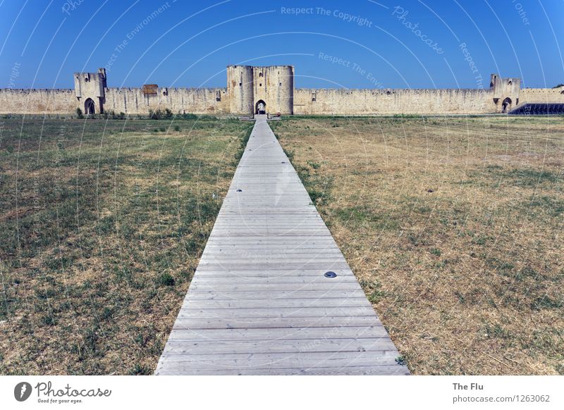 Wir machen den Weg frei... Wolkenloser Himmel Schönes Wetter Wiese Aigues Mortes Camargue Provence Frankreich Europa Dorf Stadtzentrum Altstadt Menschenleer