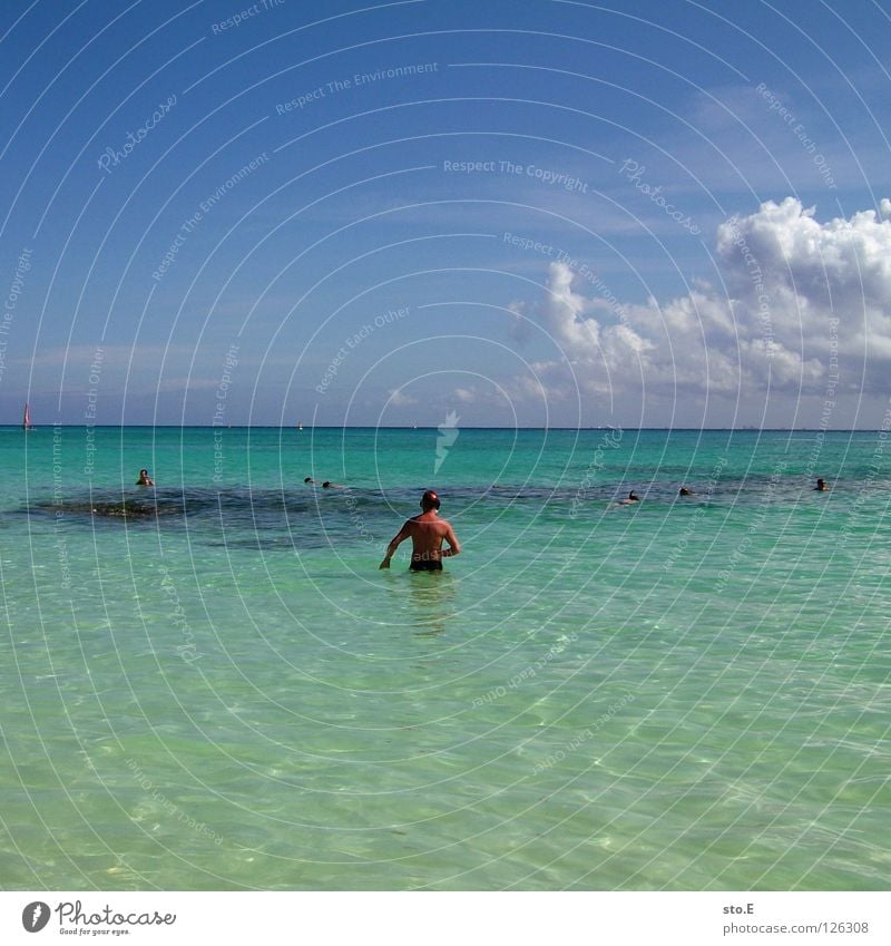 korallentauchen Ferien & Urlaub & Reisen Urlaubsfoto reisend Tourist Erholung Meer Pazifik Atlantik Schwimmen & Baden Schnorcheln Tauchgerät Riff Korallen Mann