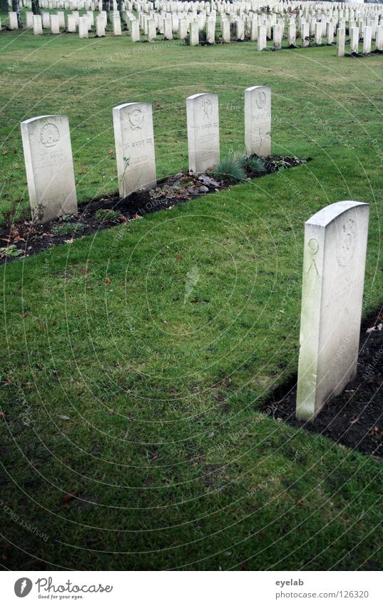 Der Tod verlangt nach Ordnung Friedhof Vergangenheit Grab ruhig Park grau grün Grabmal Trauer Verzweiflung Vergänglichkeit garbstein Ende grabpflege Rasen Reihe