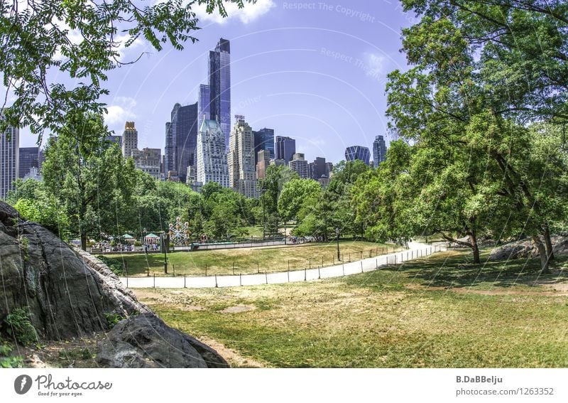 Central Park NY Ferien & Urlaub & Reisen Tourismus Sightseeing Städtereise Sommer Stadt Skyline Hochhaus groß Kontrast Manhattan USA New York City Liegewiese