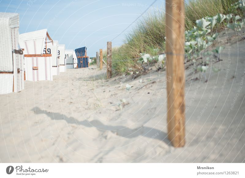 strand Ferien & Urlaub & Reisen Ausflug Sommer Sommerurlaub Sonne Strand Meer Insel Küste Ostsee frisch Düne Dünengras Usedom Zinnowitz Strandkorb Stranddüne