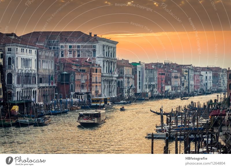 Canal Grande Venedig Italien Stadt Stadtzentrum Altstadt Haus Sehenswürdigkeit Wahrzeichen Gefühle Stimmung Warmherzigkeit Wasser Wasserfahrzeug Farbfoto