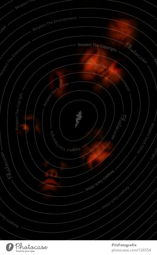 Paranoide Schizophrenie II Geister u. Gespenster Langzeitbelichtung Sinnestäuschung Todesangst dunkel schwarz rot böse gruselig verrückt krankhaft Angst Panik